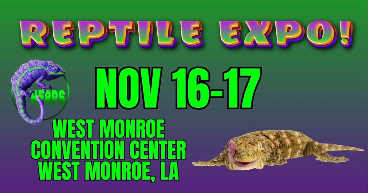 HERPS West Monroe Exotic Reptile and Pet Show Discover Monroe West Monroe