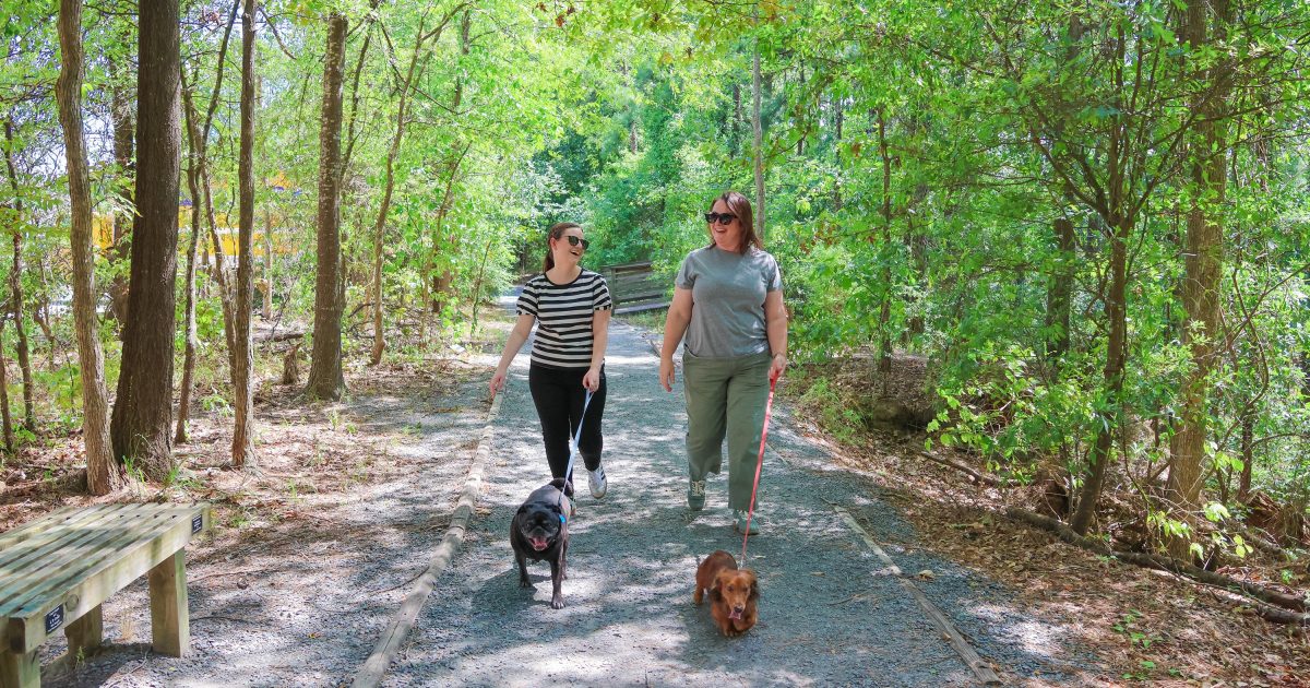 A Dog-Friendly Monroe-West Monroe | Discover Monroe West Monroe