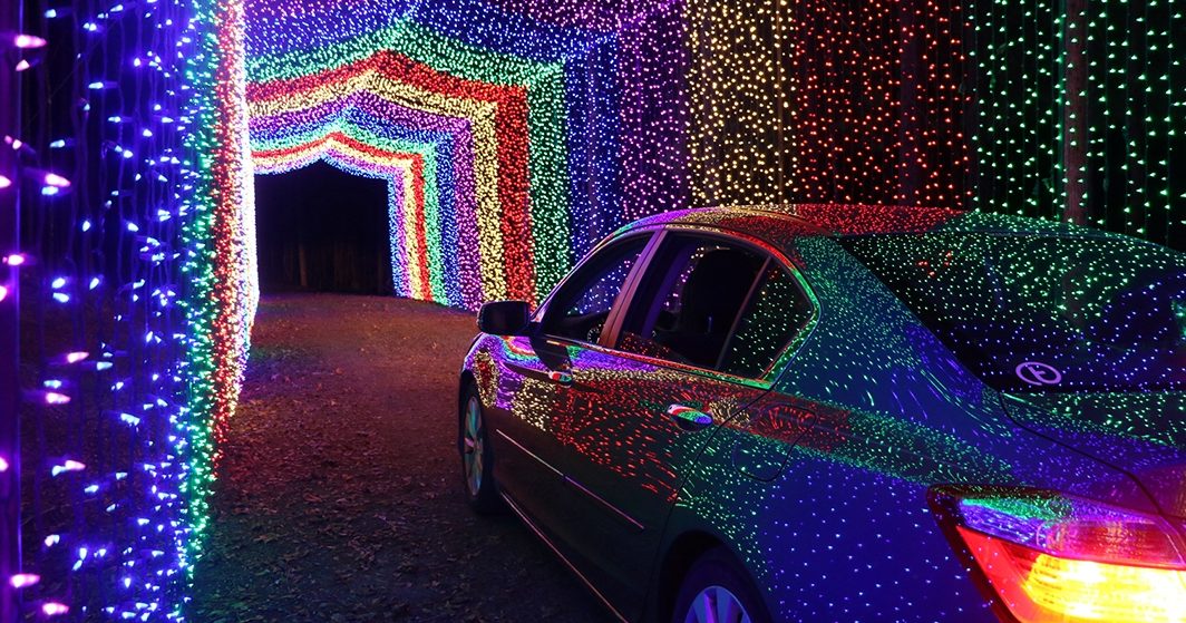 Things To Do If You're Visiting Candy Cane Lane | Discover Monroe West